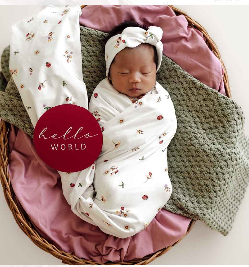 LADYBUG JERSEY WRAP SET