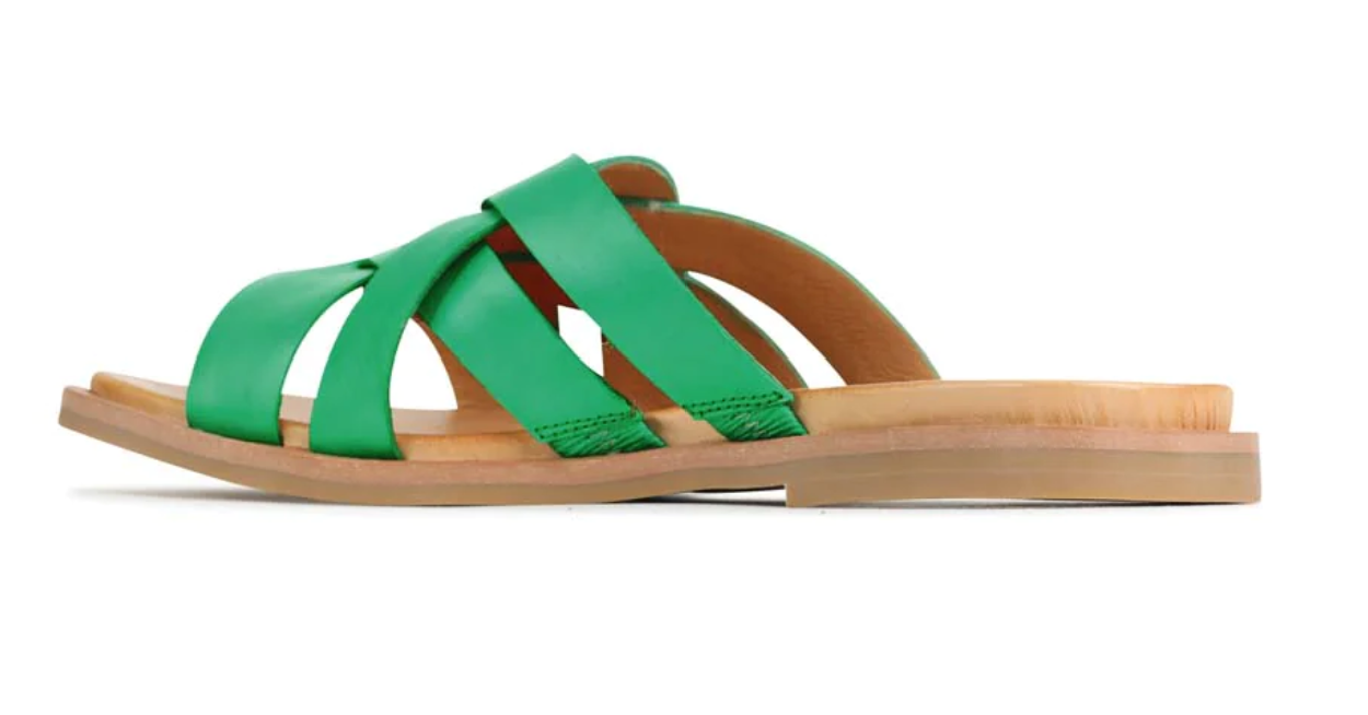 EOSJELSIEEM EOS JELSIE EMER