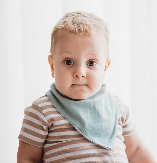 SAGE ORGANIC DRIBBLE BIB