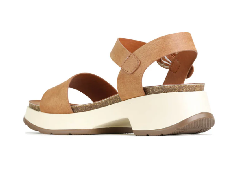 LOS CABOS LAIS BRANDY