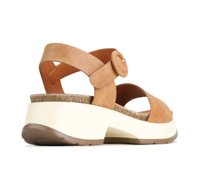 LOS CABOS LAIS BRANDY