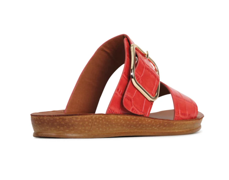 LOS CABOS BRITI BLOODORANGE