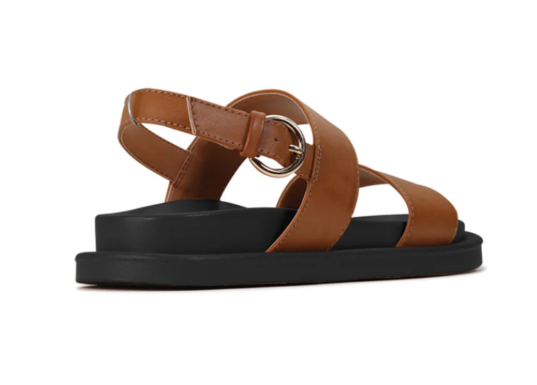 LOS CABOS ANTONIA BRANDY