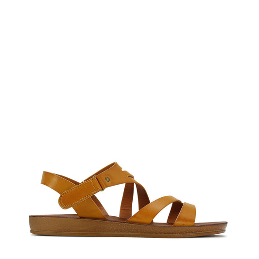 LOS CABOS KENT MUSTARD