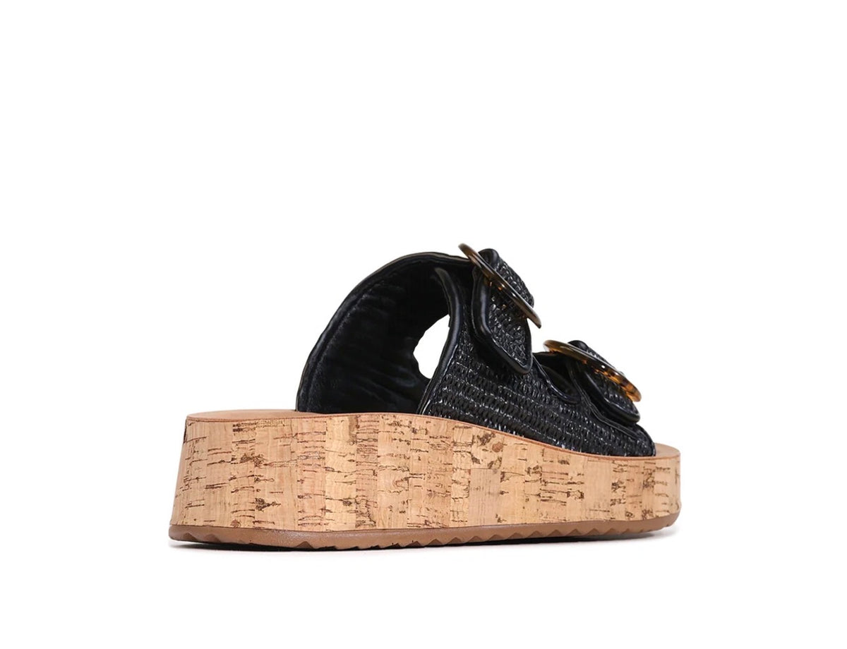 LOS CABOS FERRO BLACK