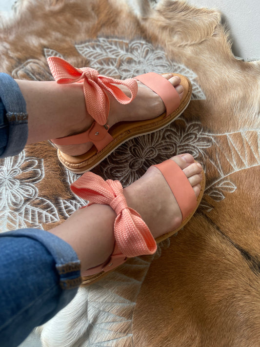 EOS THOUGHTFUL CORAL