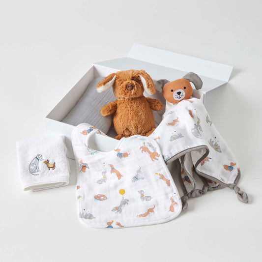 PLHA008 PUPPY HAMPER GIFT SET
