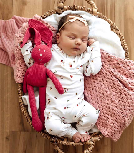 LADYBUG L/S GROWSUIT