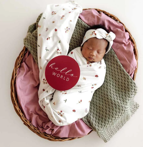 LADYBUG MILESTONE CARD SET