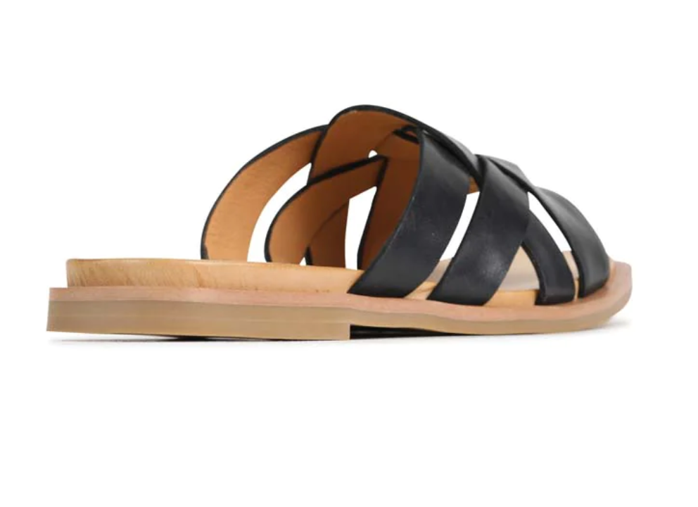 EOSJELSIEBLK EOS JELSIE BLK