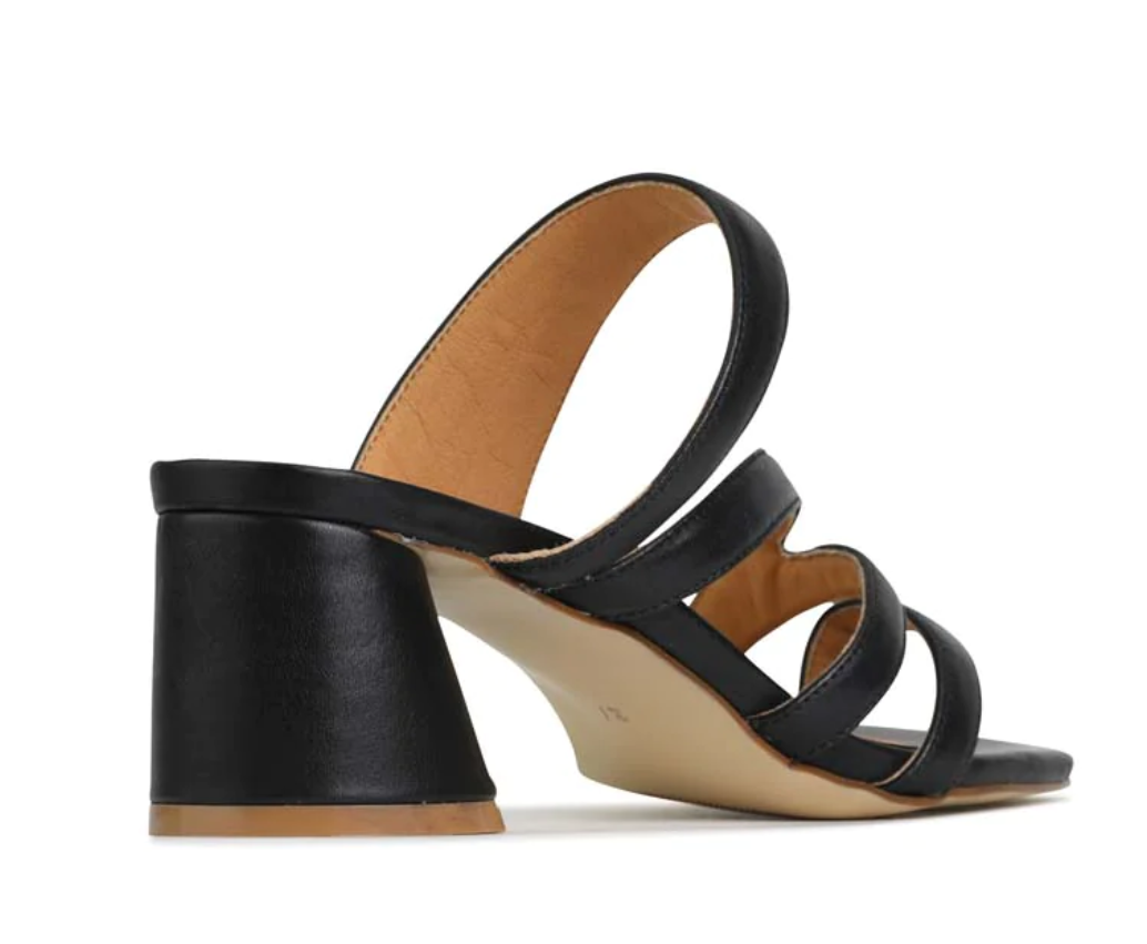 EOSPERRIBLK EOS PERRI BLACK
