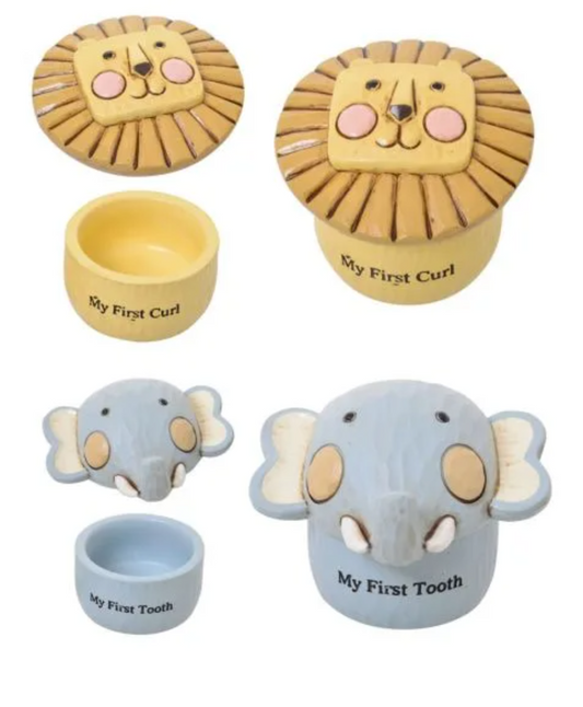 NOAH'S ARK TOOTH & CURL BOX