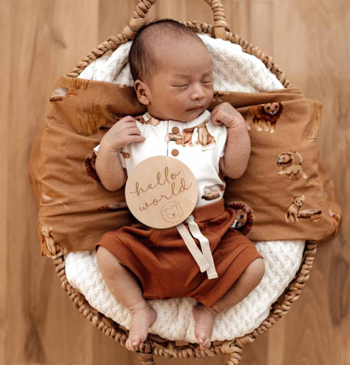SNUGGLE HUNNY LION WOODEN MILESTONE CARDS