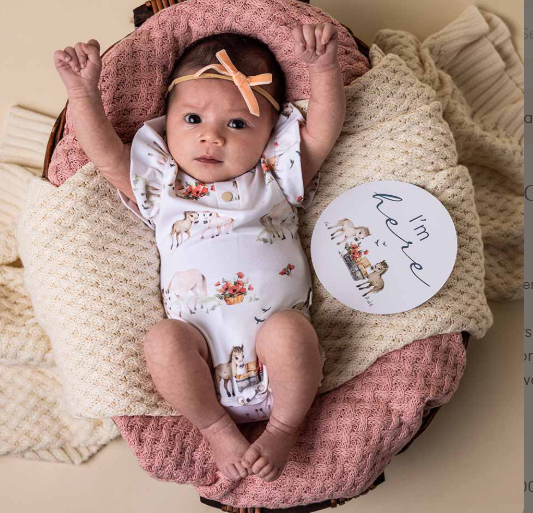 SNUGGLE HUNNY PONY PALS SHORT SLEEVE ORGANIC BODYSUIT WITH FRILL