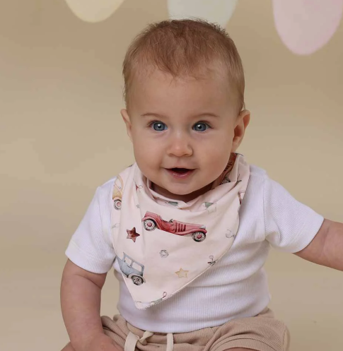 SNUGGLE HUNNY VINTAGE CARS DRIBBLE BIB