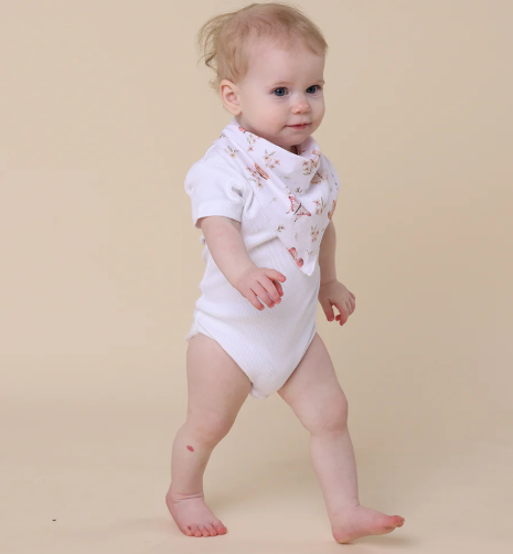 SNUGGLE HUNNY BUTTERFLY DRIBBLE BIB