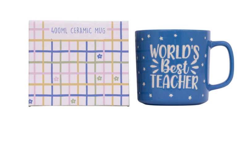 BEST TEACHER MUG
